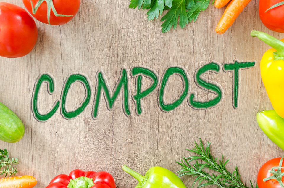compostaggio-rifiuti